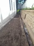 Elegant Gardening & Landscaping Services - 4