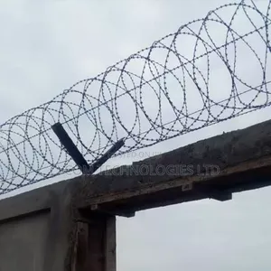 Razor Wire for Perimeter Wall Protection