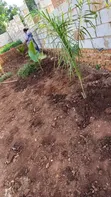 Professional Landscaping & Gardening Services - 4