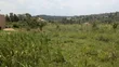 Plot for Sale in Matugga Kavule - 1