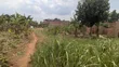 Plot for Sale in Matugga Kavule - 5