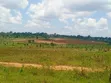 Titled Plots for Sale in Nampunge, Kakiri - 4