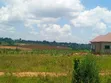 Titled Plots for Sale in Nampunge, Kakiri - 5