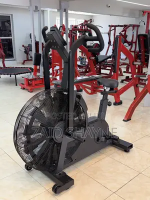 Life Fitness Air Bike