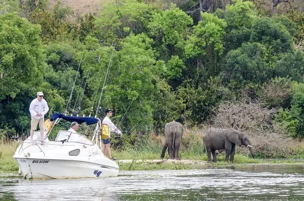 3-Day Murchison Falls Safari Venture - 1