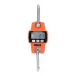 Digital Luggage Scale 300kg Capacity - 1