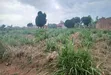 64 Decimals Prime Land for Sale at Namusera~Kakunyu, Hoima Rd - 4