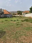Kira Nsasa 100x100 Plot for Sale - 2