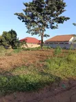 2 Acres Residential Land for Sale in Kira-Nakwero - 3