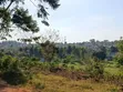 2 Acres Residential Land for Sale in Kira-Nakwero - 5