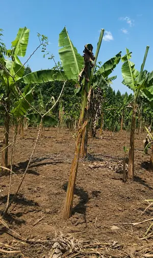 Land for Sale in Kakiri, Kikuji/Kigayaza Area
