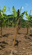 Land for Sale in Kakiri, Kikuji/Kigayaza Area - 1