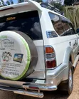 Toyota Land Cruiser Prado 2002 White - 4