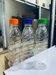 Juice Bottles - 1