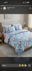 Lite Bedcovers with Pillowcases and Bedsheet - 1