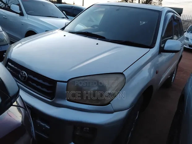 Toyota RAV4 2003 Gray Automatic - 1