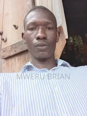 Brian Mweru - Customer Service CV