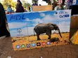 65-Inch FOL Smart Android TV - 5
