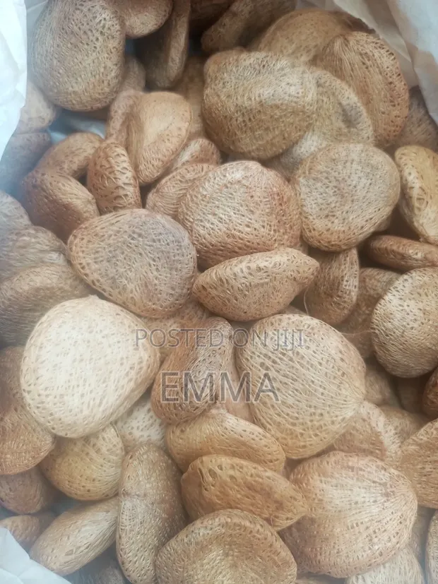 Oil Nuts (Kulekuka) - 1
