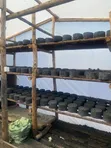 Honeycomb Briquettes for Cooking & Brooding - 3