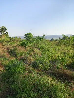 20 Acres Mixed-Use Land for Sale in Lugazi