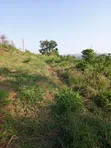 20 Acres Mixed-Use Land for Sale in Lugazi - 2