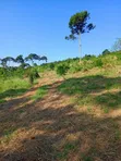 20 Acres Mixed-Use Land for Sale in Lugazi - 3