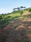 20 Acres Mixed-Use Land for Sale in Lugazi - 4