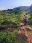 20 Acres Mixed-Use Land for Sale in Lugazi - 5