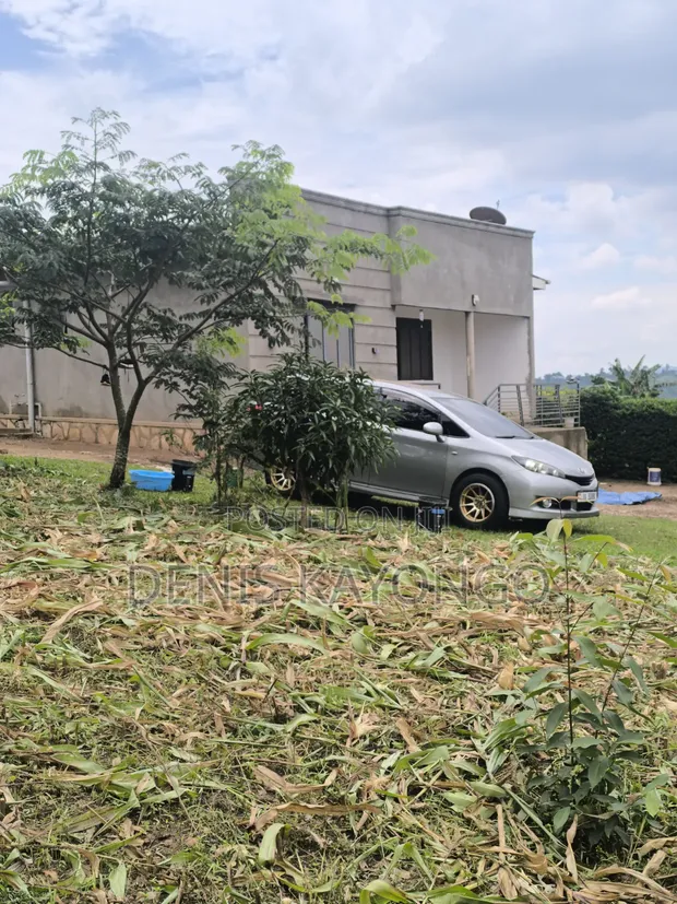Toyota Wish 2011 Gray - 1