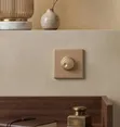 Gelayy Gold Rotary Dimmer Switch - 1