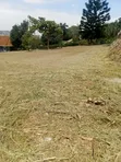 45 Decimals Prime Land for Sale in Upper Muyenga - 2