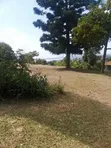 45 Decimals Prime Land for Sale in Upper Muyenga - 3