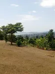 45 Decimals Prime Land for Sale in Upper Muyenga - 4