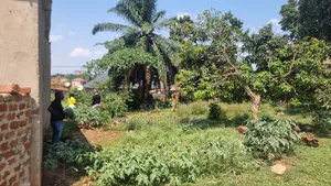 45 Decimals Freehold Land - Bweyogerere