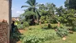 45 Decimals Freehold Land - Bweyogerere - 1