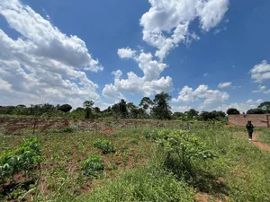 50x100ft Land for Sale in Nkokojeru, Kayunga