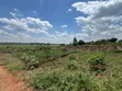 50x100ft Land for Sale in Nkokojeru, Kayunga - 2