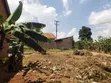 Plot for Sale in Lutete, Gayaza Road - 45m - 5