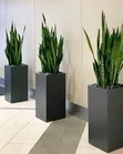 Modern Artificial Flowers Pots with Plants - 4