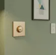 Gelayy Gold Rotary Dimmer Switch - 2
