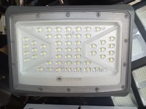 Brand New d.light Solar Street Light/Flood Light with Panel (300W)