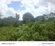 75x75ft Plot for Sale in Musiima, Jinja City - 2