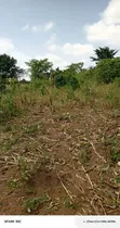 75x75ft Plot for Sale in Musiima, Jinja City - 3