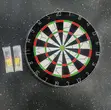 Brand New Flocked Dartboard - 2
