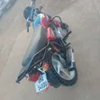 Bajaj CT 125X 2025 Red - 1