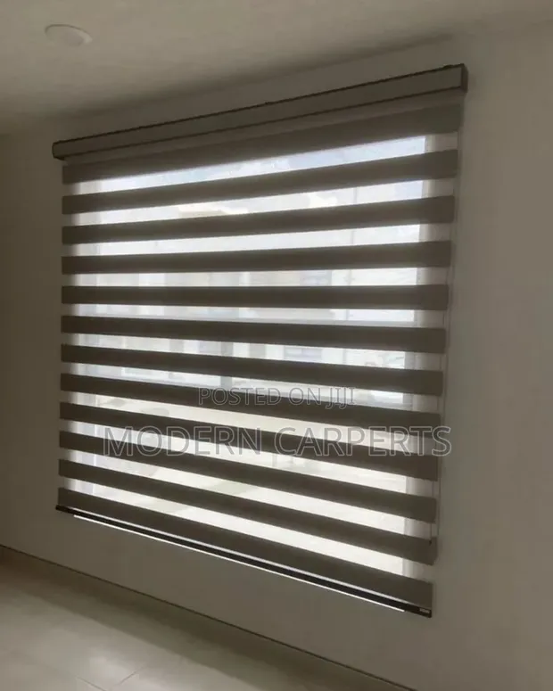 Zebra Executive Window Blinds - 1