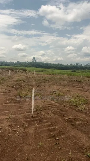 50x100 Plots for Sale in Kayunga Kitwe