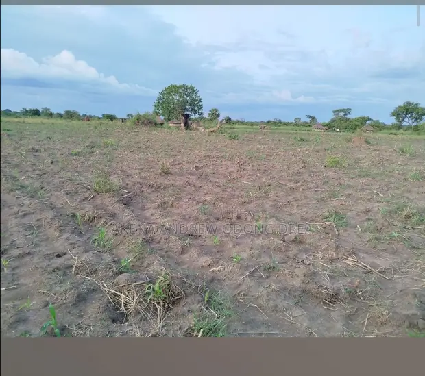 1 Acre Mixed-Use Land for Sale in Gulu - 1