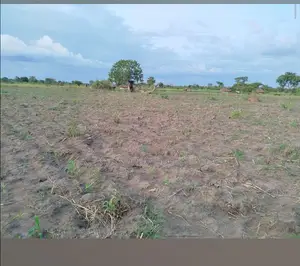 1 Acre Mixed-Use Land for Sale in Gulu